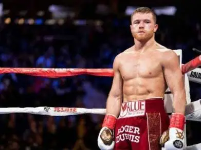 Saúl El Canelo  Ãlvarez planea su Próxima Pelea para Septiembre 2020, Esta  Concentrado en Triunfar Nuevamente. 